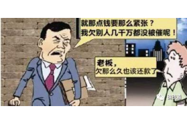 平顶山企业清欠服务